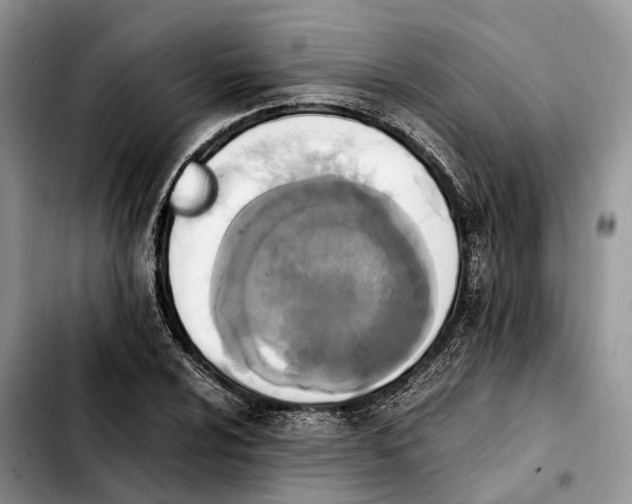 X0000103941024200810101411