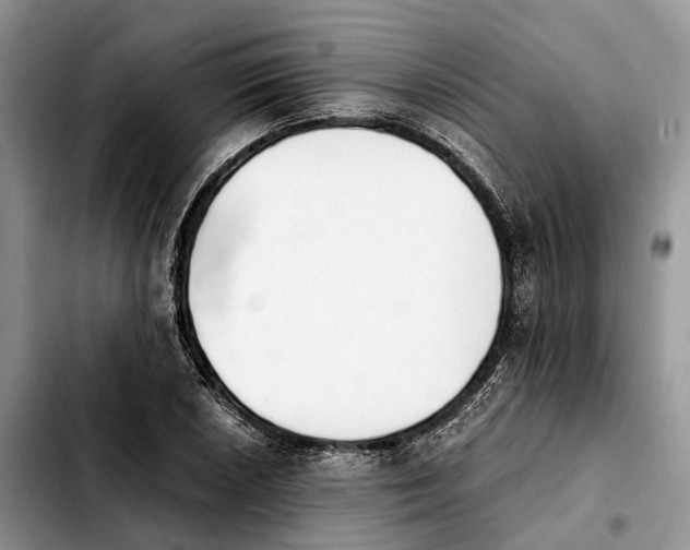 X0000103941026200810101411