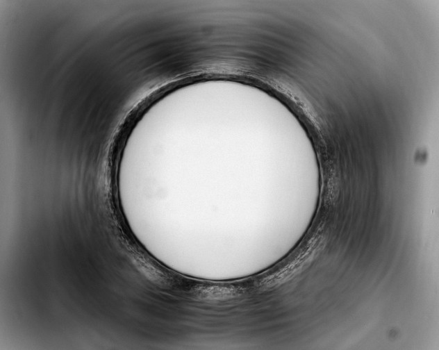 X0000103941027200810101411