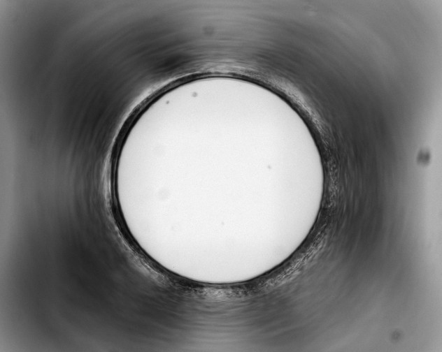 X0000103941032200810101411