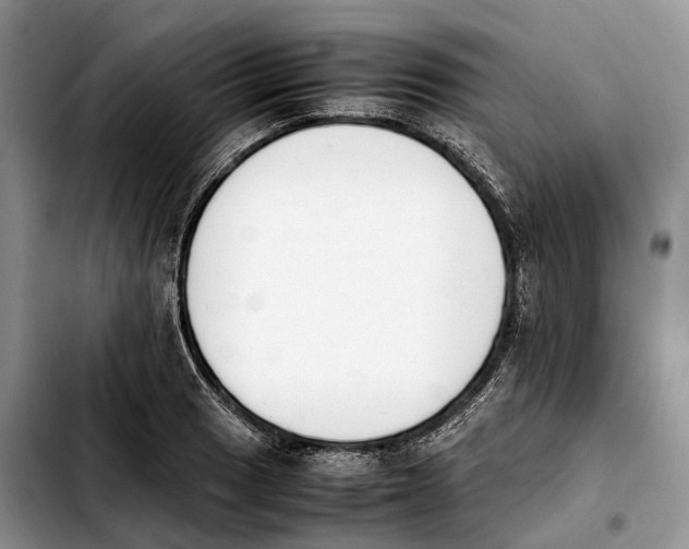 X0000103941033200810101411