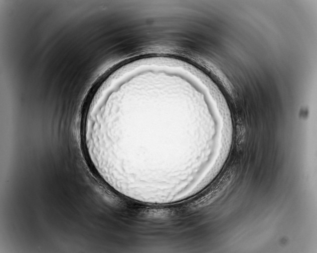 X0000103941035200810101411