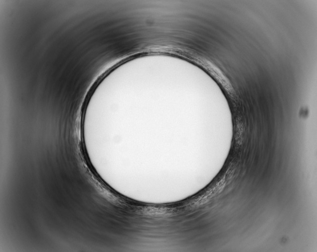 X0000103941036200810101411