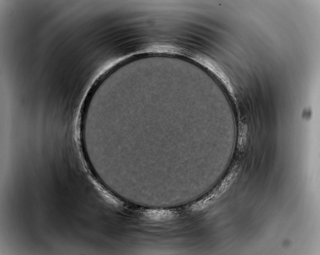 X0000103941037200810101411