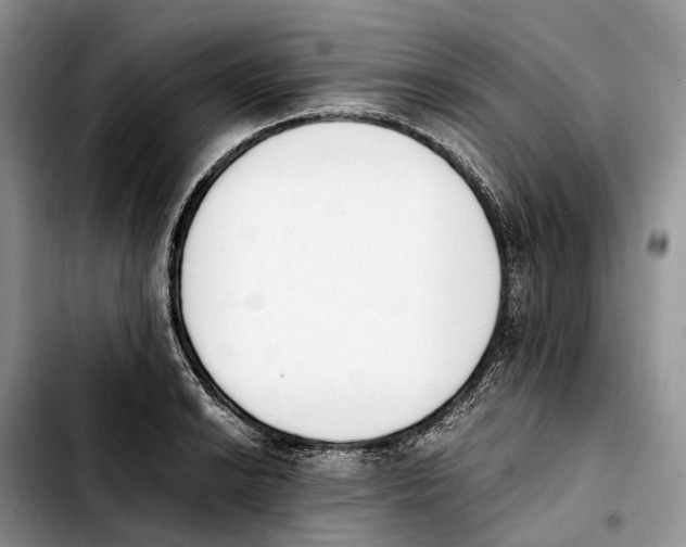 X0000103941038200810101412