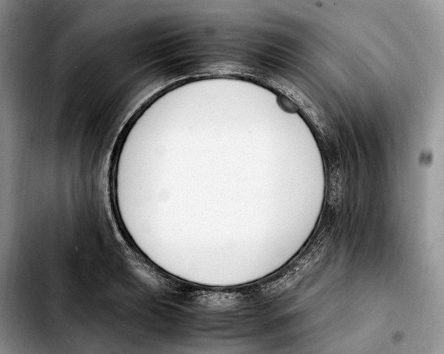 X0000103941039200810101412