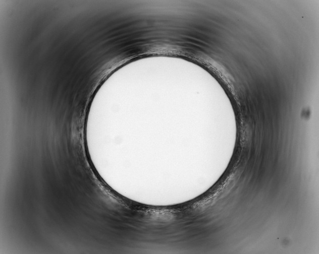 X0000103941041200810101412