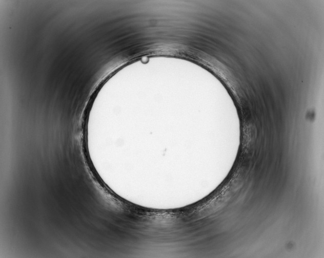 X0000103941042200810101412