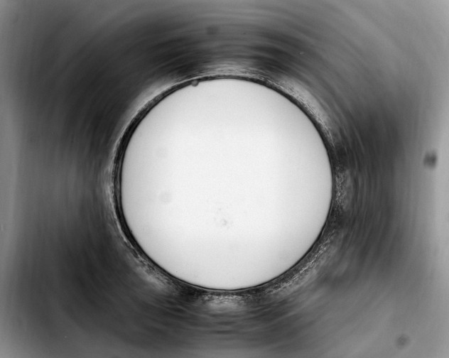 X0000103941043200810101412