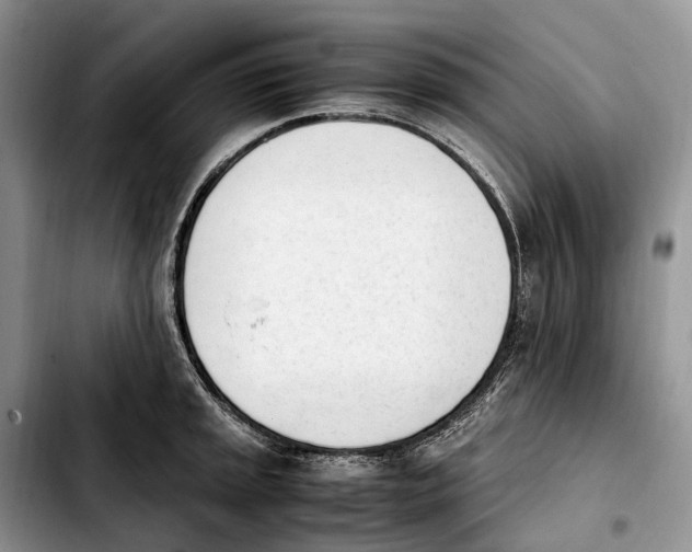 X0000103941045200810101412