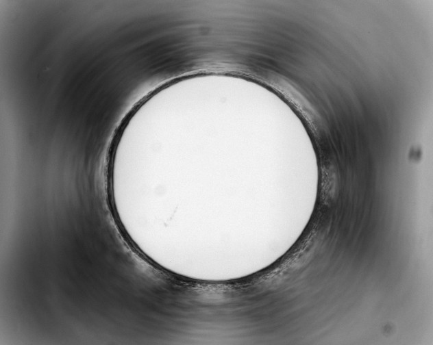 X0000103941046200810101412