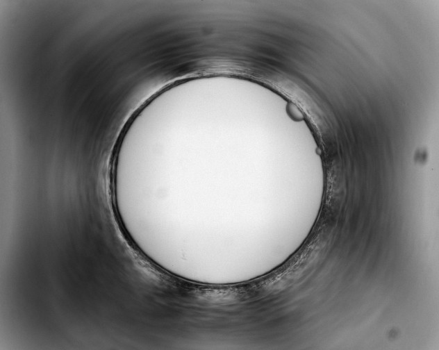 X0000103941047200810101412