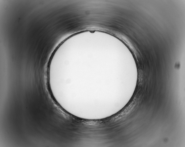 X0000103941048200810101412