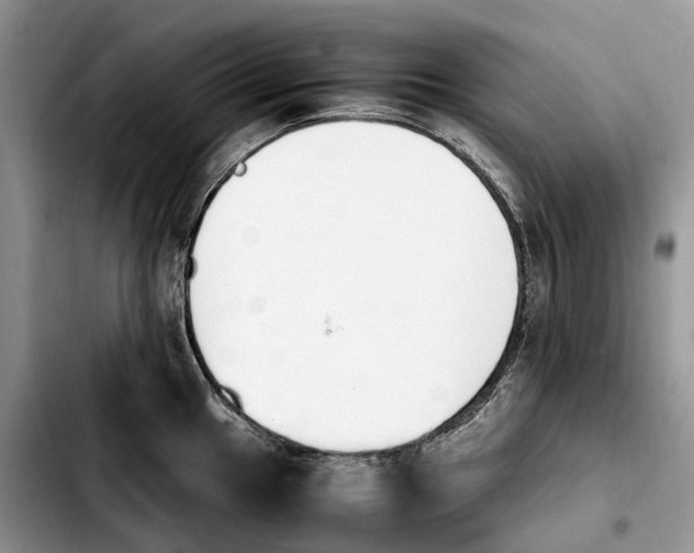 X0000103941049200810101412