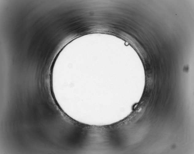 X0000103941050200810101412