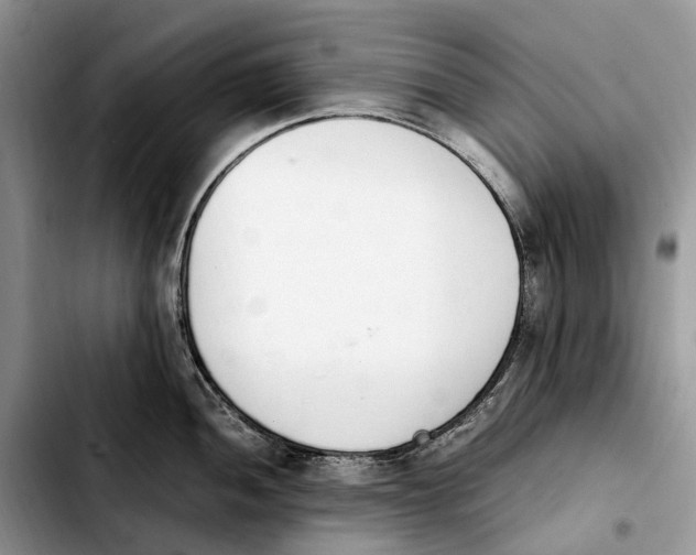 X0000103941052200810101412