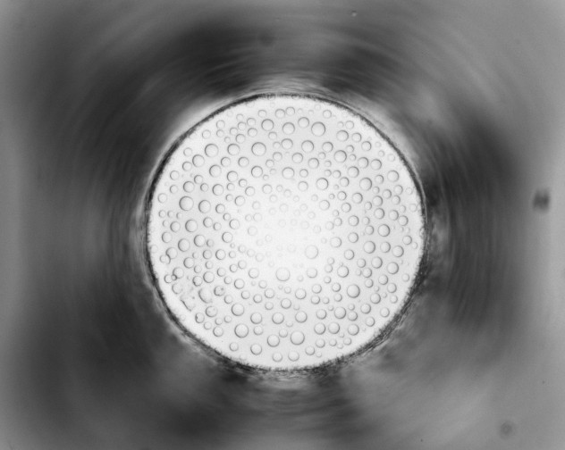 X0000103941053200810101412