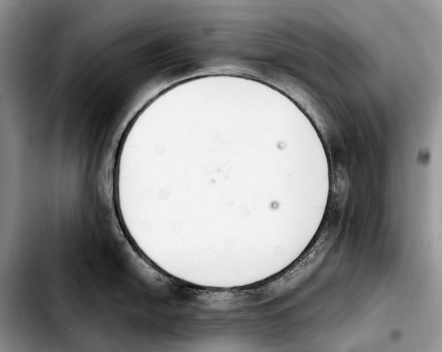 X0000103941054200810101412