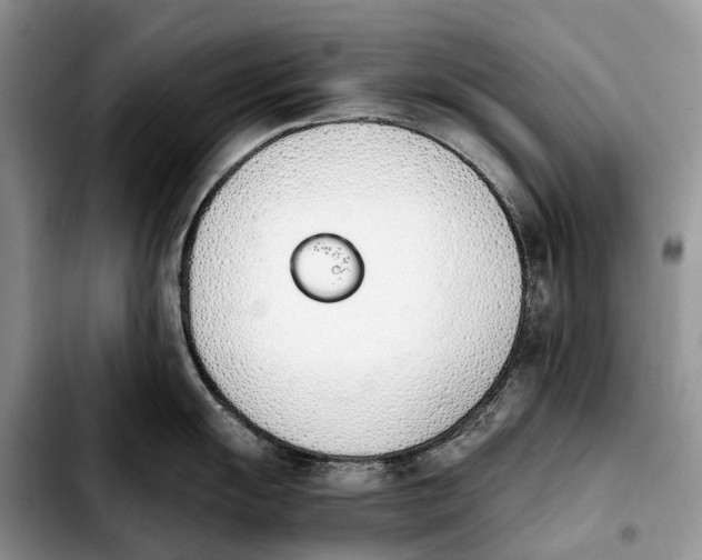 X0000103941055200810101412