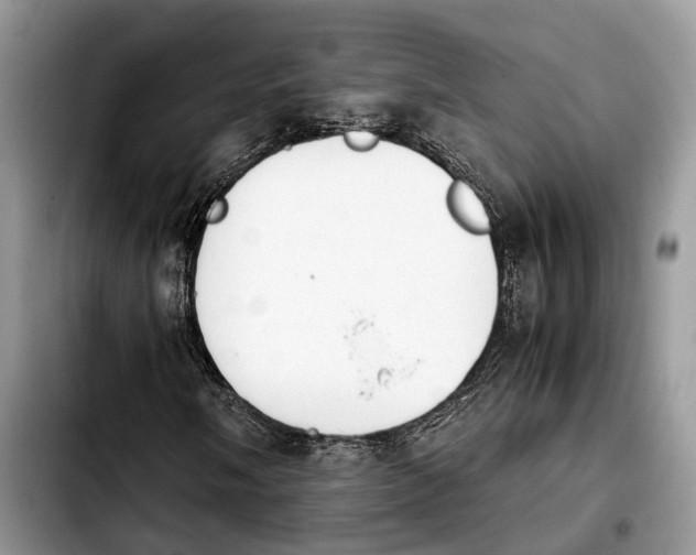 X0000103941058200810101411