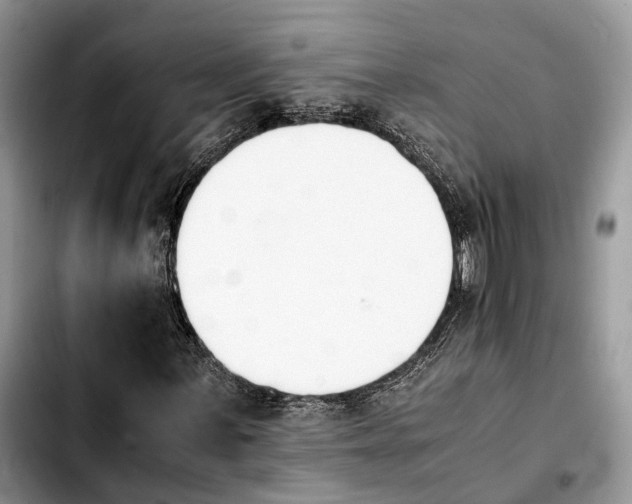 X0000103941059200810101411