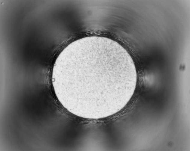 X0000103941060200810101411