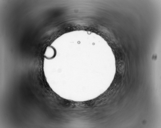 X0000103941061200810101411