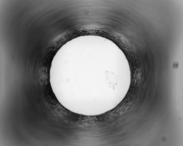 X0000103941062200810101411