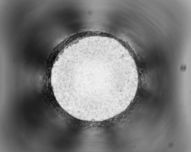 X0000103941064200810101411