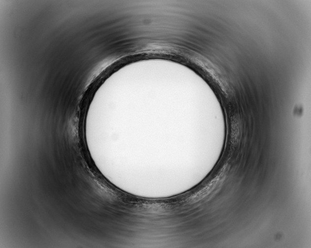 X0000103941066200810101411