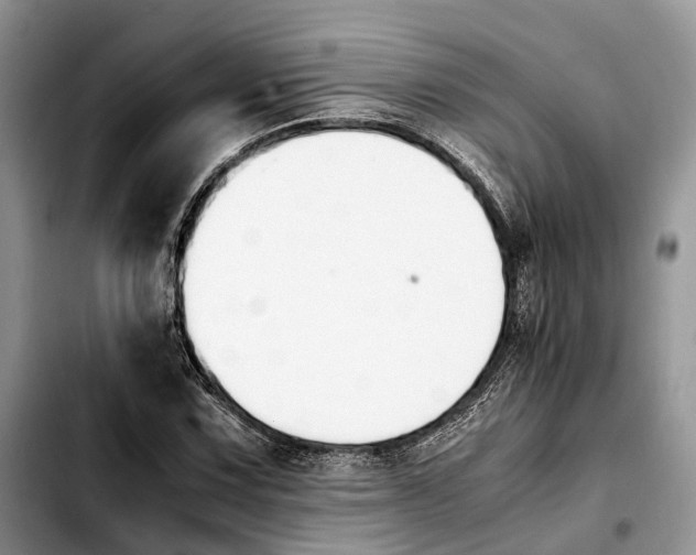 X0000103941067200810101411