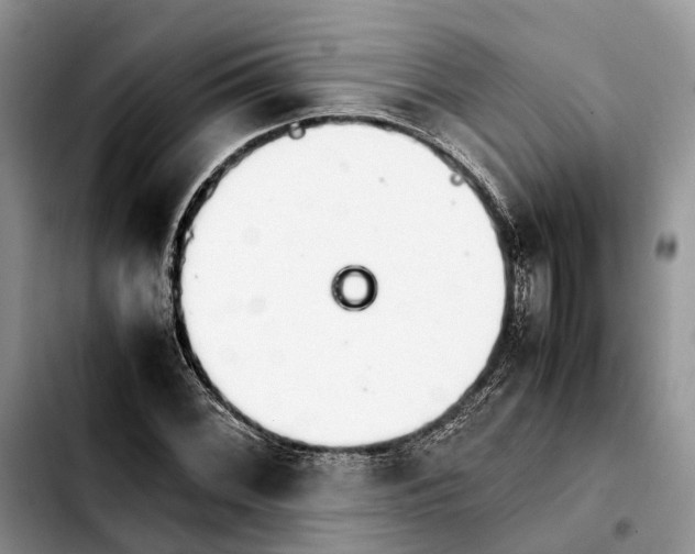 X0000103941068200810101411