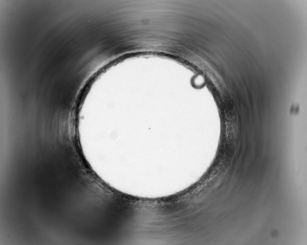 X0000103941069200810101411