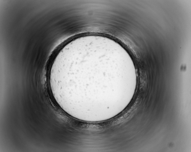 X0000103941070200810101411