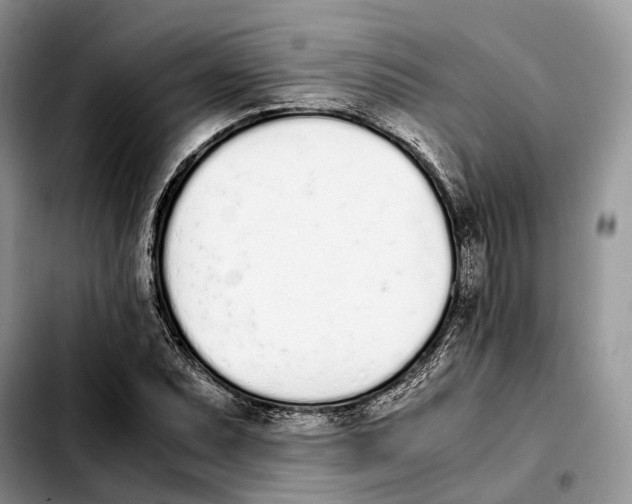 X0000103941071200810101411