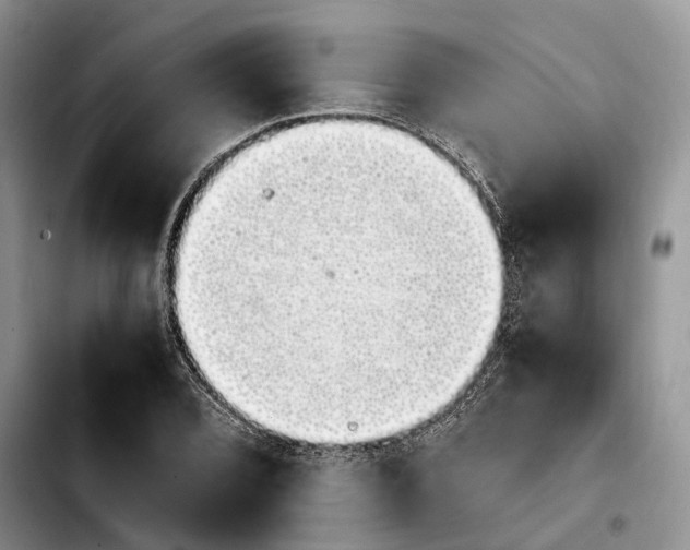 X0000103941072200810101411