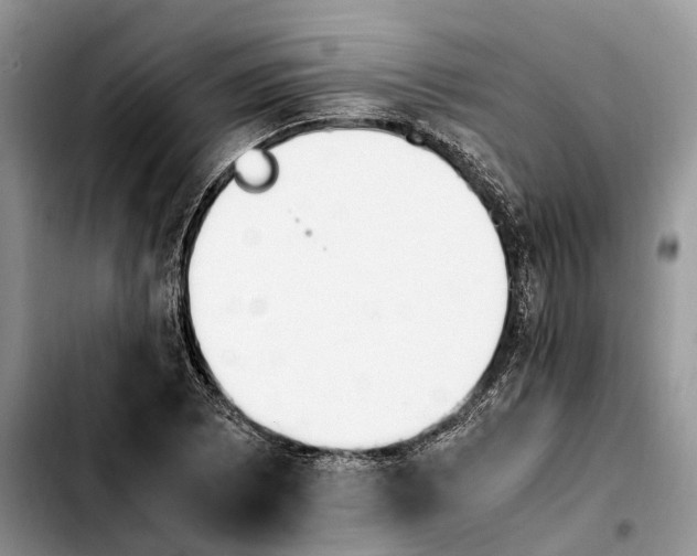 X0000103941073200810101411