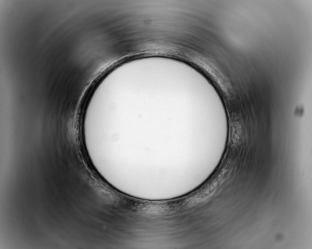 X0000103941074200810101411