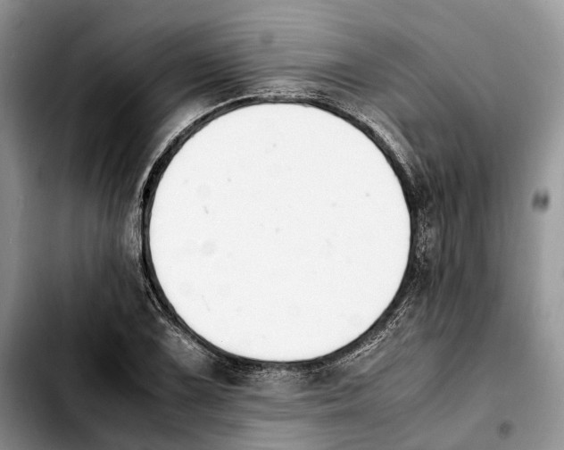 X0000103941075200810101411