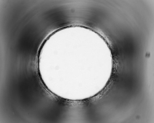 X0000103941076200810101411