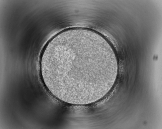 X0000103941077200810101411