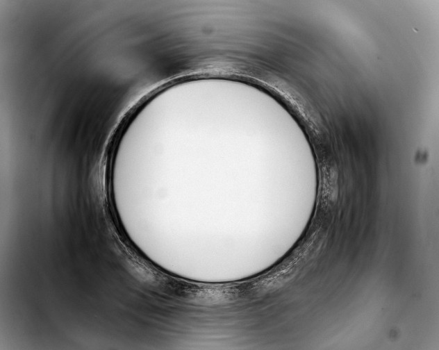 X0000103941078200810101411