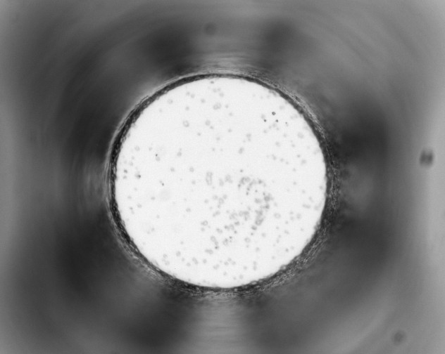 X0000103941080200810101411