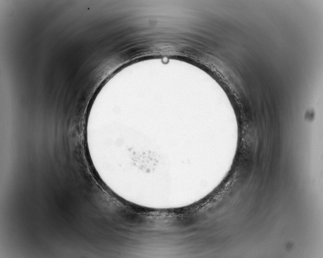 X0000103941081200810101411