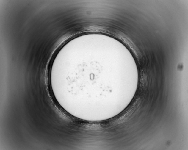 X0000103941082200810101411