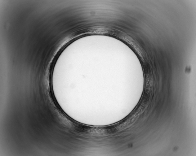 X0000103941083200810101411