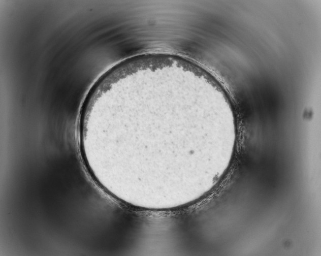 X0000103941084200810101411