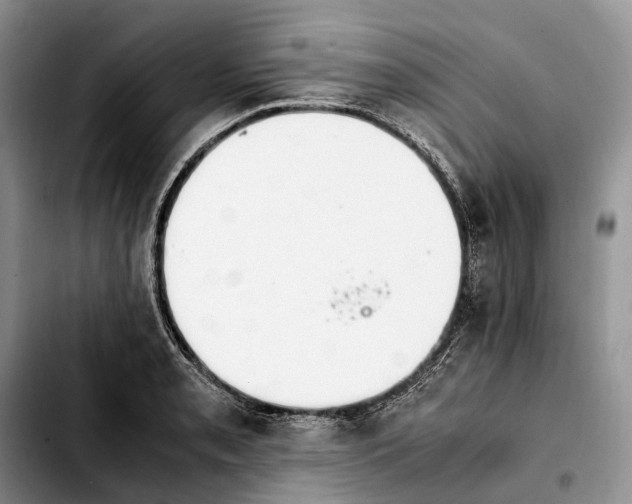 X0000103941085200810101411