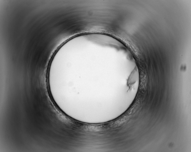 X0000103941086200810101411