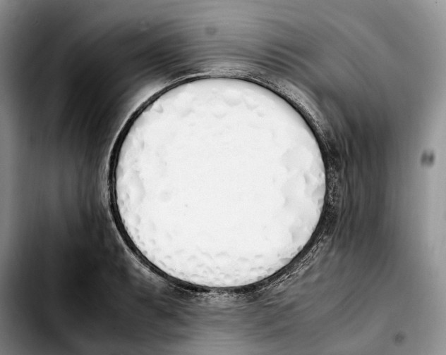 X0000103941087200810101411